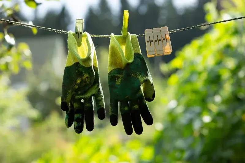 Frühjahrsstart im Garten: So gelingt der erste Pflegegang