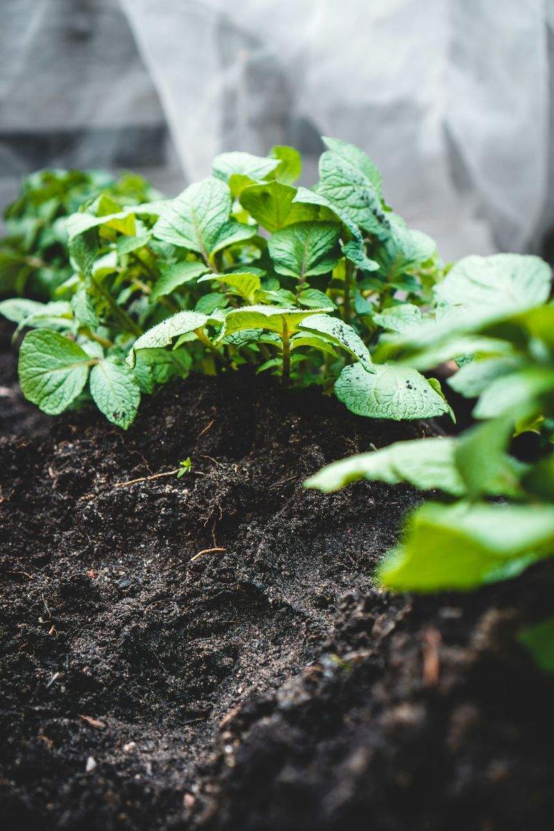 Saisonale Gartenauffrischung für einen Wohnkomplex
